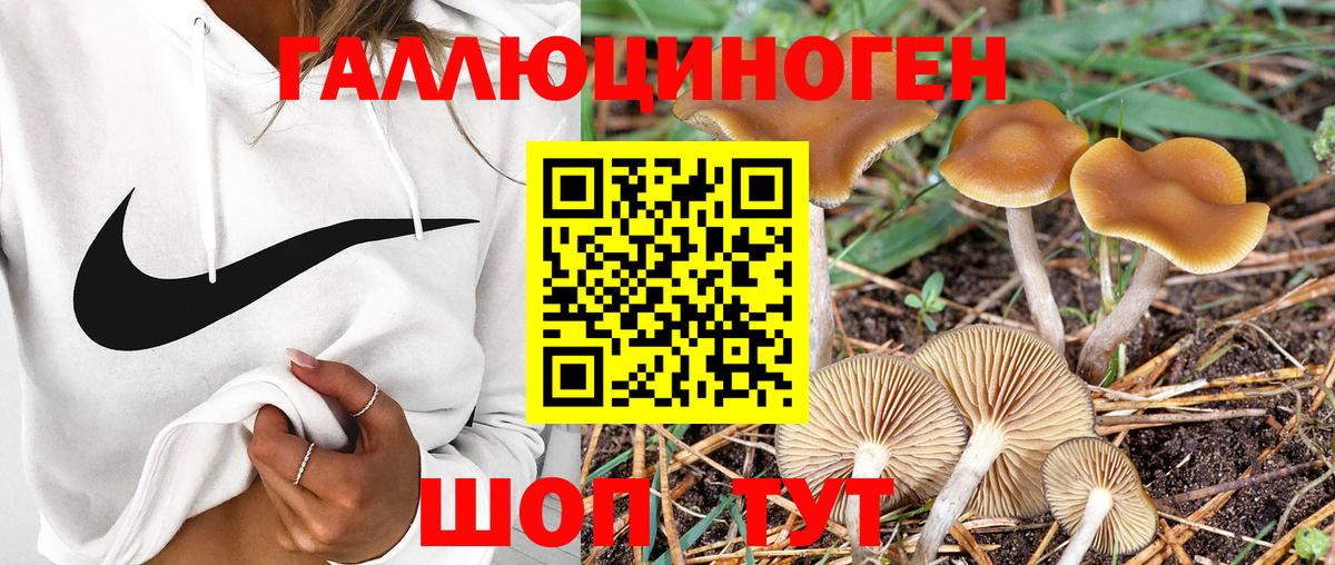 Галлюциногенные грибы ЛСД Каменка